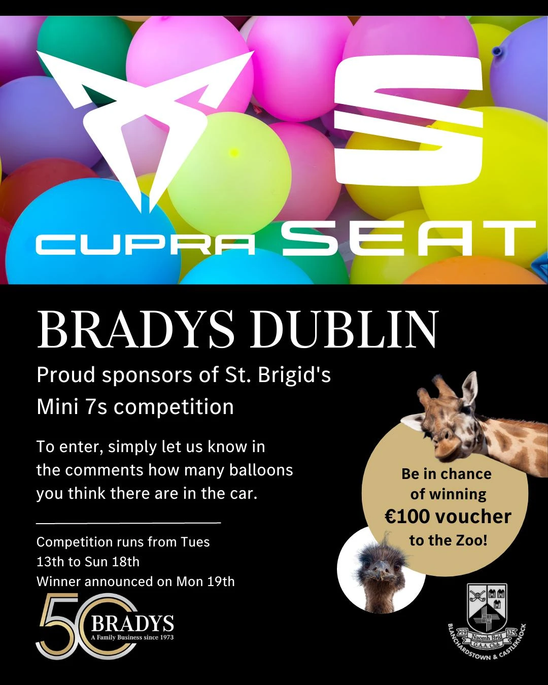 Bradys Dublin Sponsors St. Brigids Mini Leagues